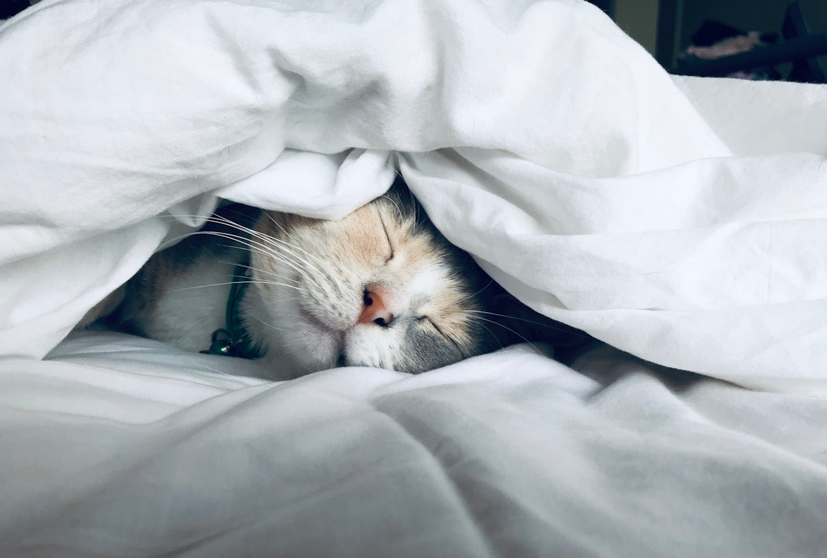 Sleep and weight loss connection metabolism hormones over 35