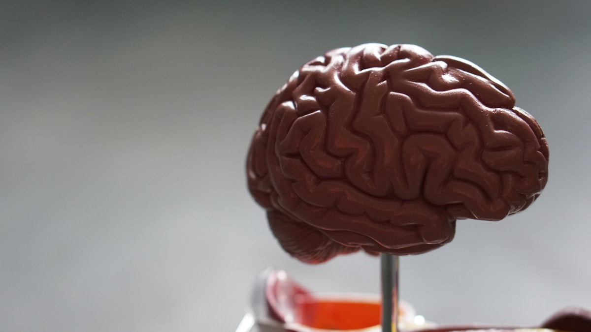 nervous system regulation stress recovery after 35 health