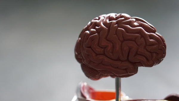nervous system regulation stress recovery after 35 health