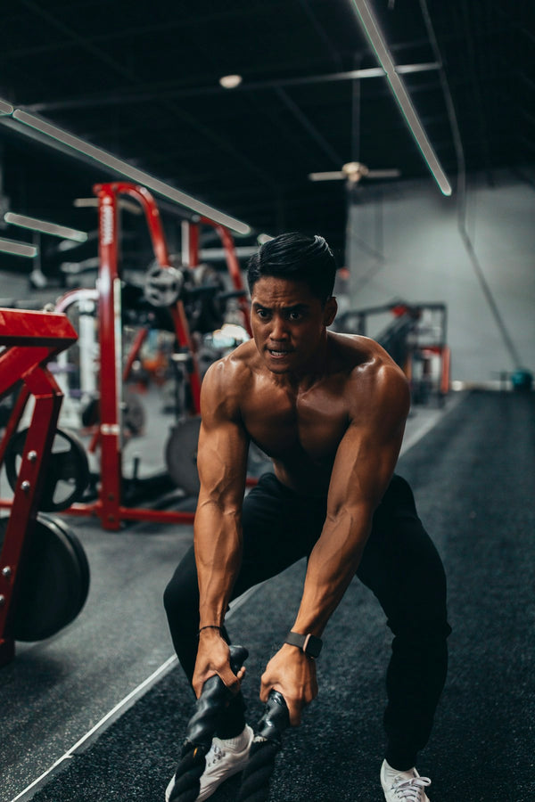 Muscle after 35 organ longevity aging strength training